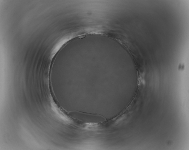 X0000113060052200909110925