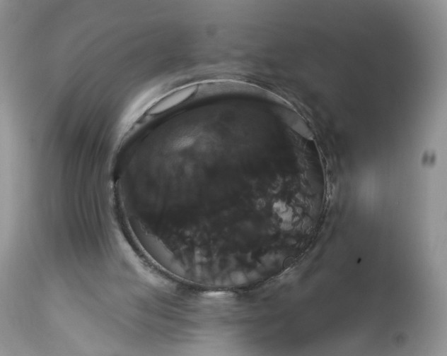 X0000113060053200909110926