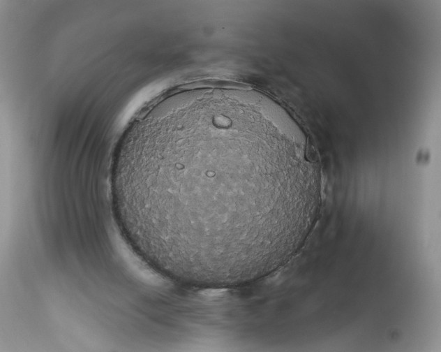 X0000113060054200909110926