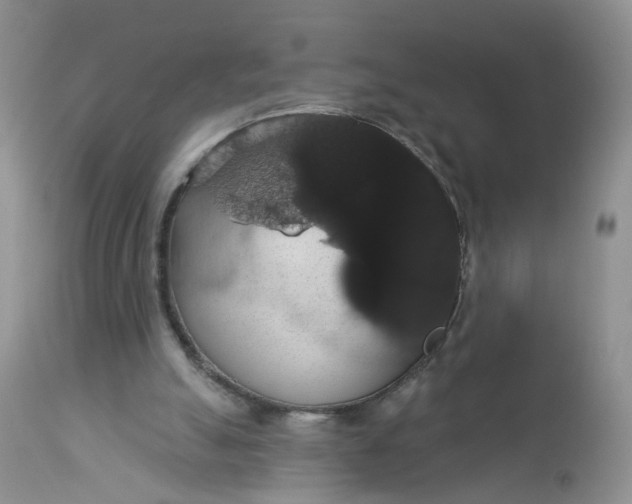 X0000113060055200909110926