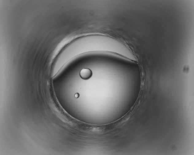 X0000113060056200909110926