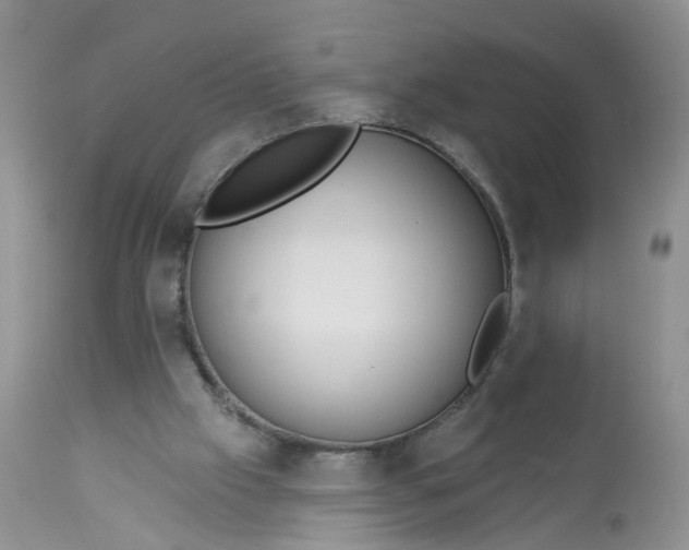 X0000113060057200909110926