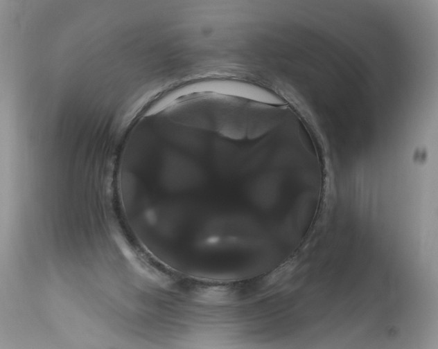 X0000113060058200909110926