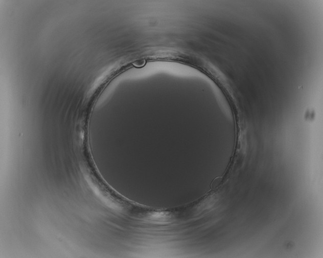 X0000113060059200909110926