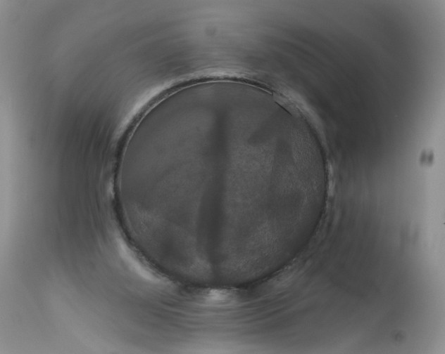 X0000113060060200909110926
