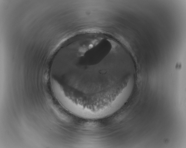 X0000113060063200909110926