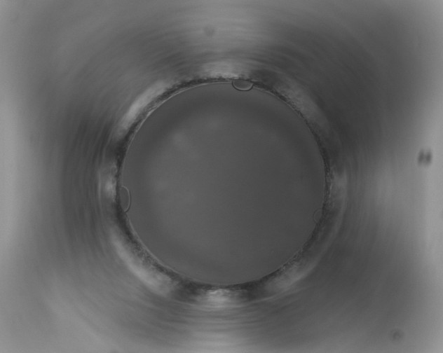 X0000113060064200909110926