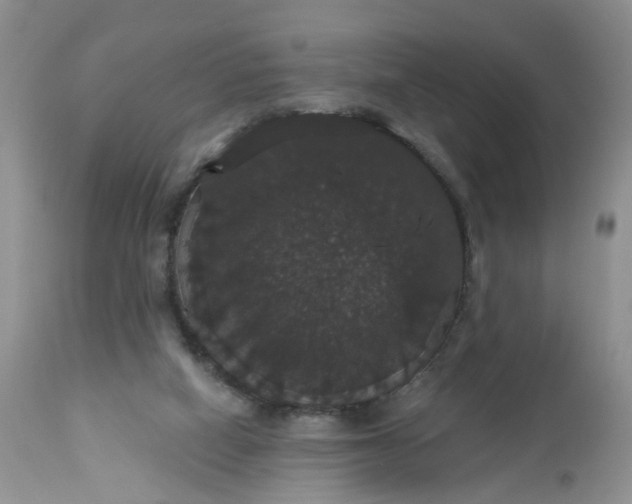 X0000113060066200909110926