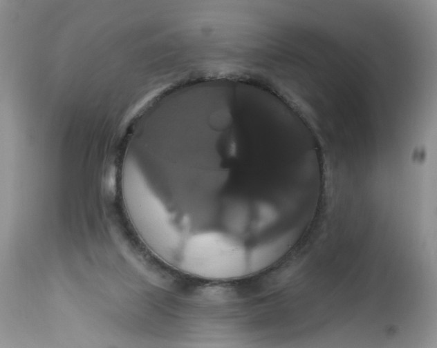 X0000113060067200909110926