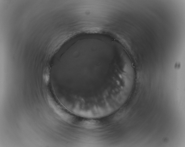 X0000113060069200909110926