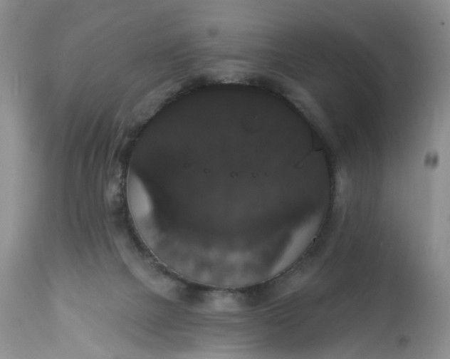 X0000113060073200909110926