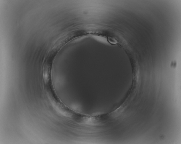 X0000113060074200909110926