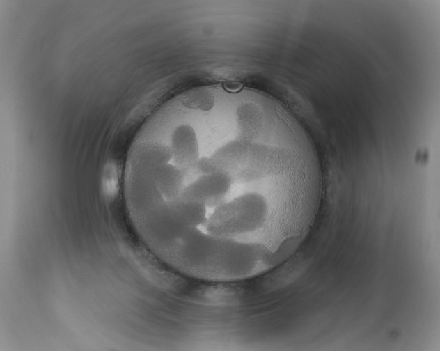 X0000113060075200909110926