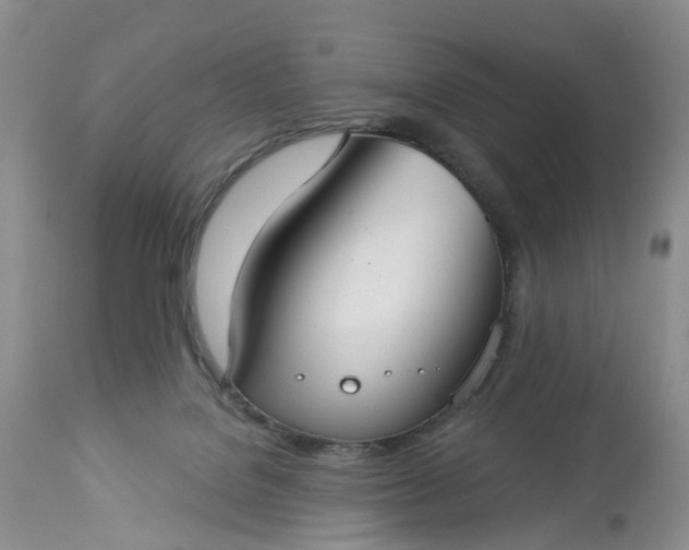 X0000113060076200909110926