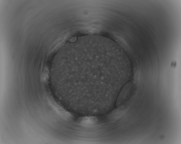 X0000113060077200909110926