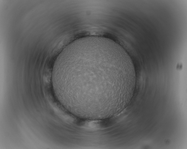X0000113060078200909110926