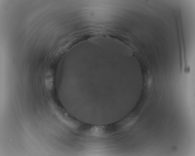 X0000113060080200909110926