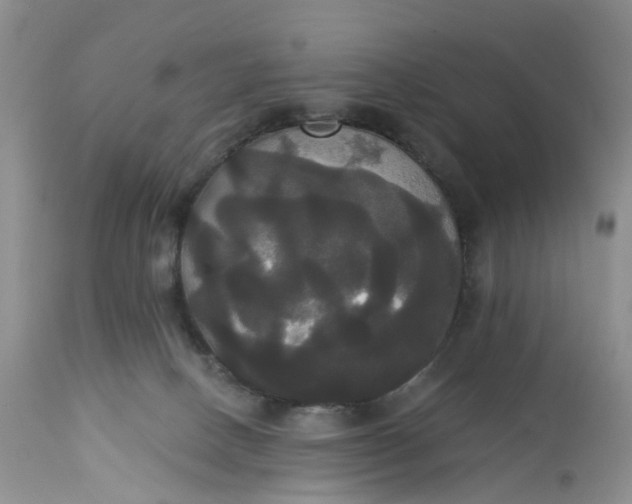 X0000113060082200909110926