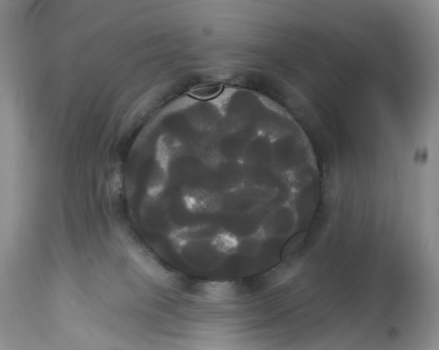 X0000113060085200909110926