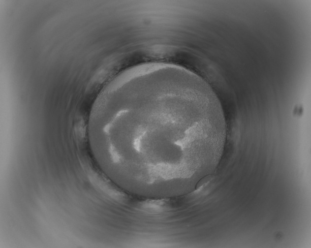 X0000113060086200909110926