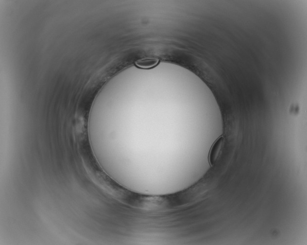 X0000113060087200909110926