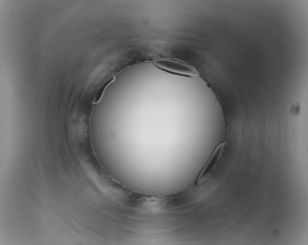 X0000113060088200909110926