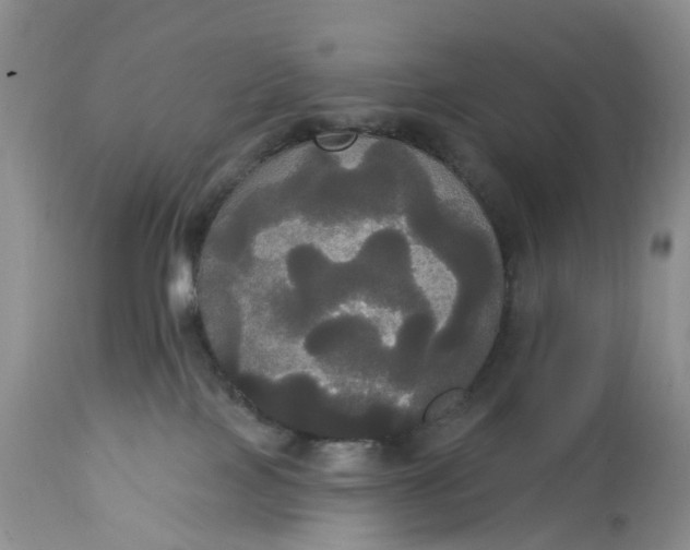 X0000113060089200909110926