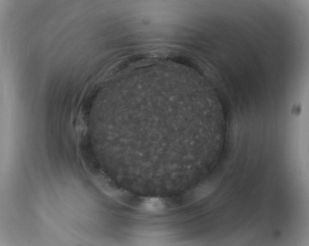 X0000113060091200909110926