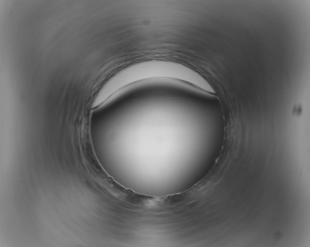 X0000113060092200909110926