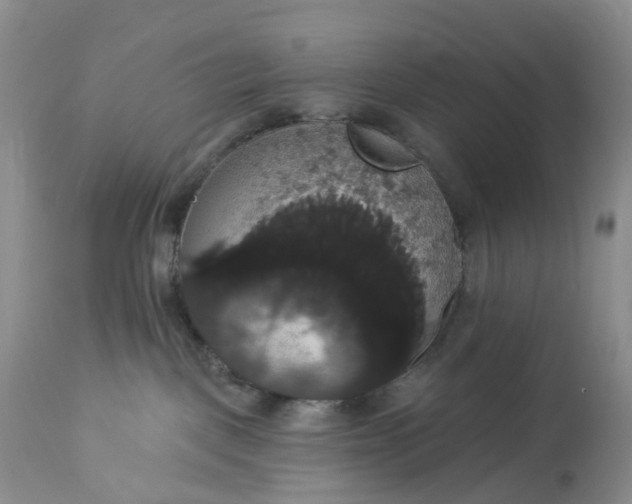 X0000113060093200909110926