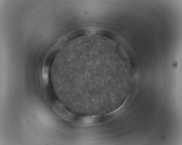 X0000113060094200909110926