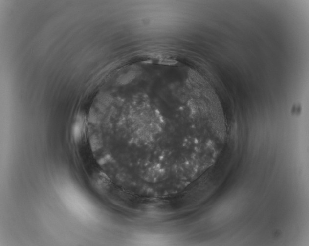 X0000113060095200909110926