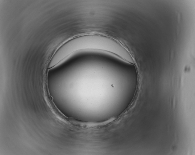 X0000113060097200909110925