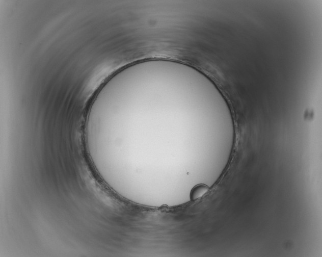 X0000113060098200909110925