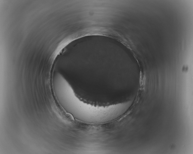 X0000113060099200909110925