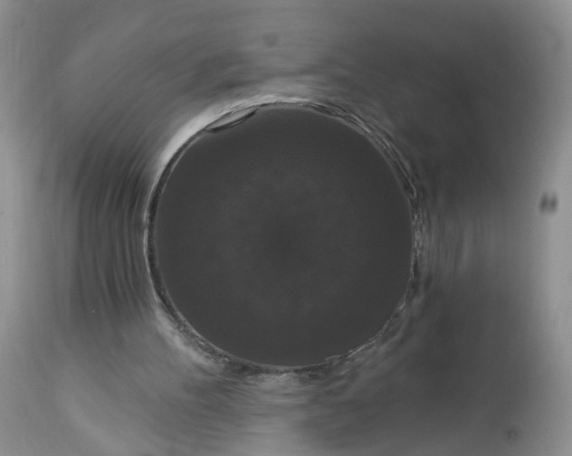 X0000113060100200909110925