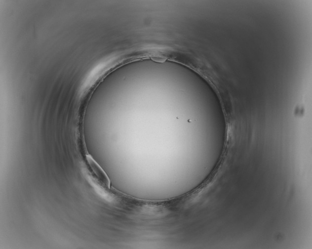 X0000113060101200909110925