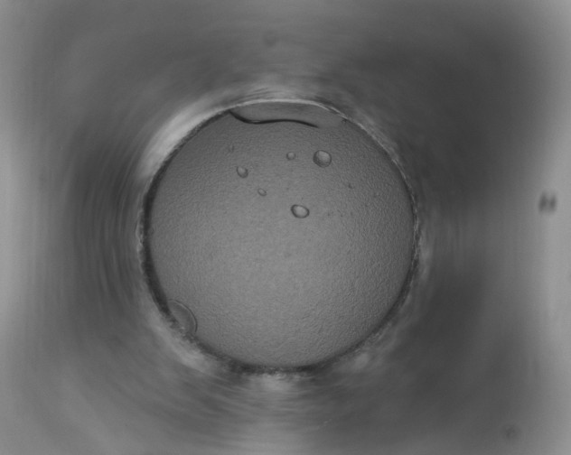 X0000113060103200909110925