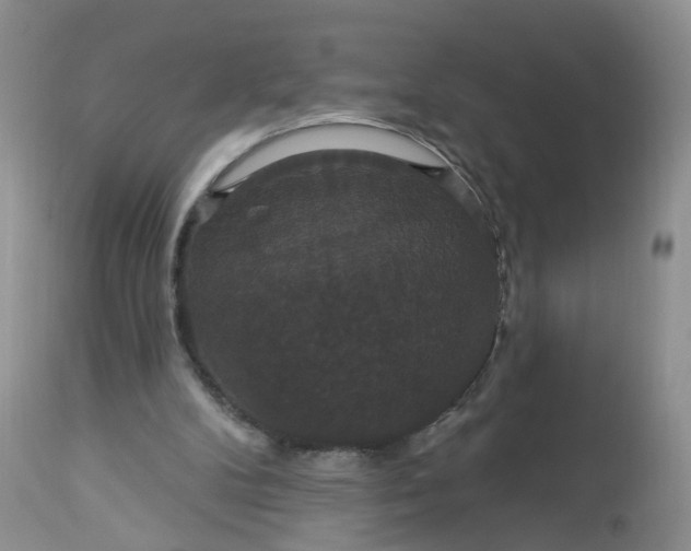 X0000113060104200909110925