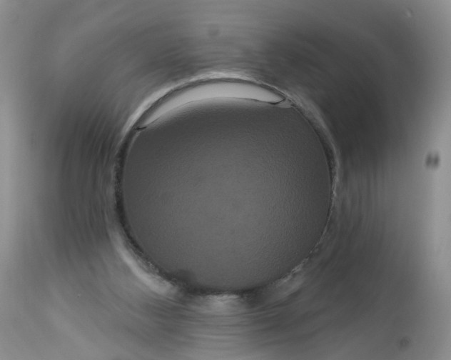X0000113060108200909110925