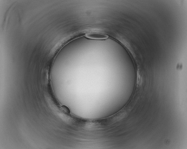 X0000113060109200909110925