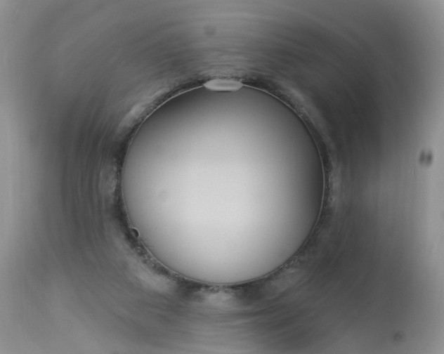 X0000113060113200909110925