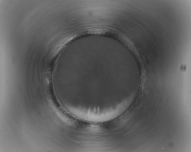 X0000113060114200909110925