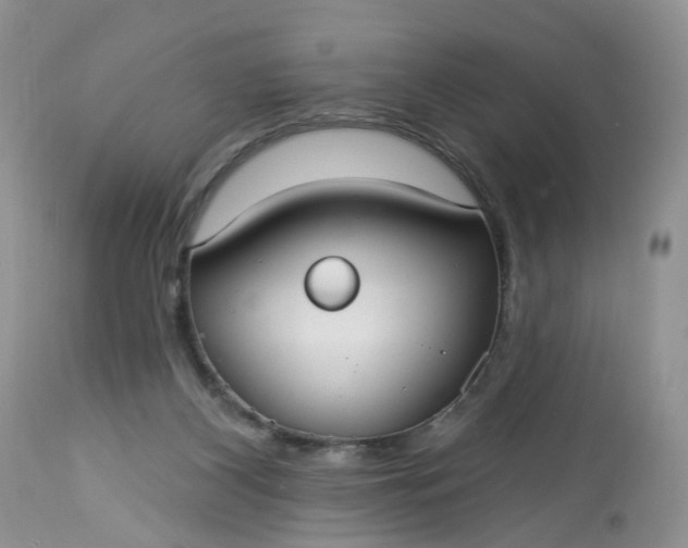 X0000113060116200909110925