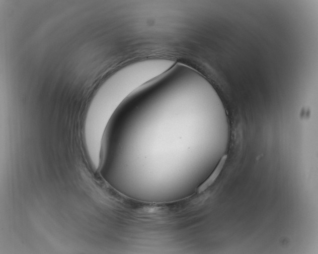 X0000113060117200909110925