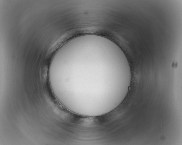 X0000113060118200909110925