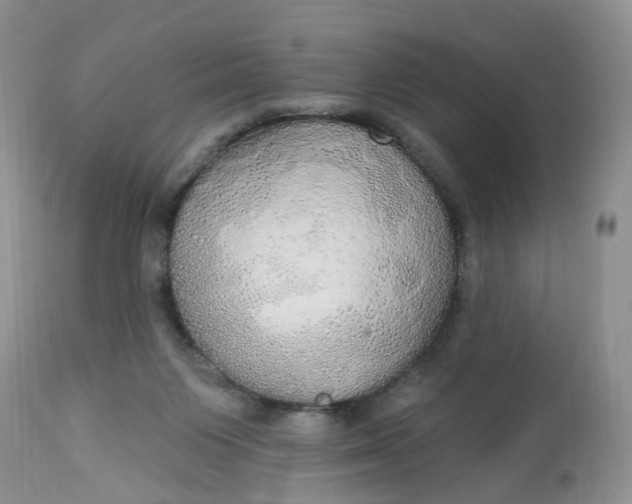 X0000113060119200909110925