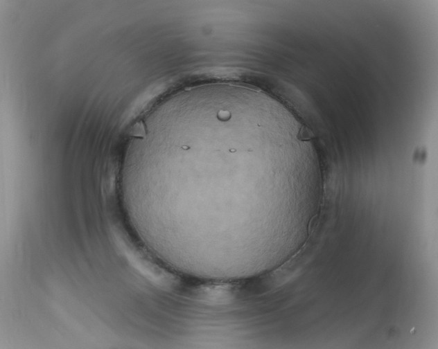 X0000113060120200909110925