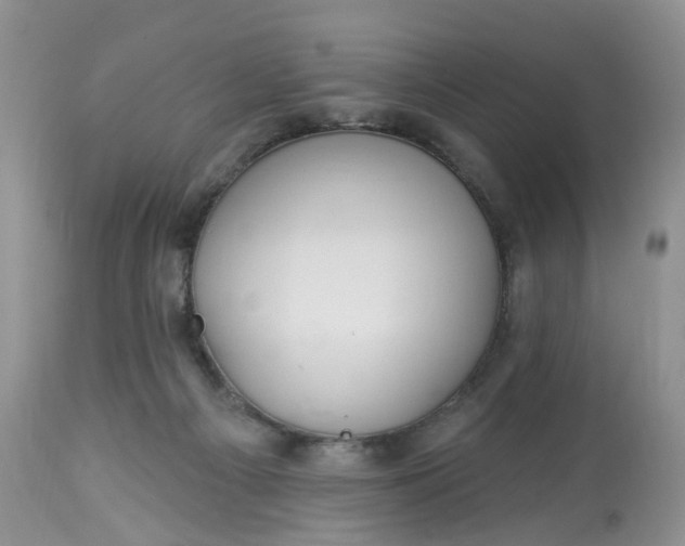 X0000113060121200909110925
