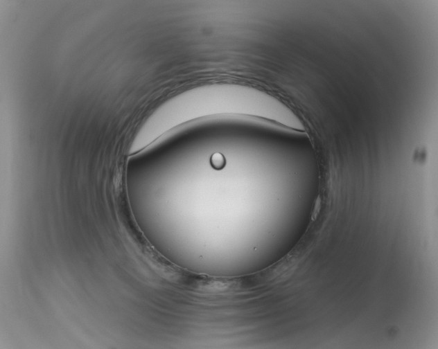 X0000113060129200909110925